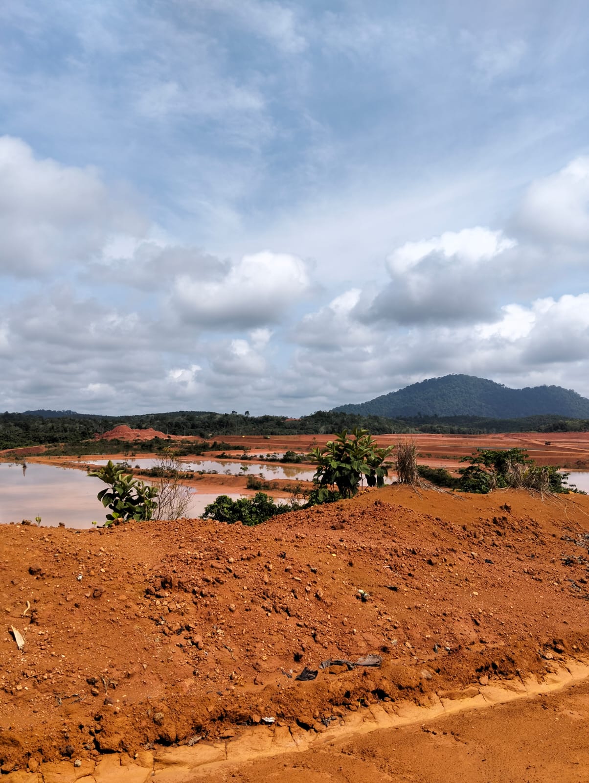 Kegiatan lapangan PT Borneo Energy Star
