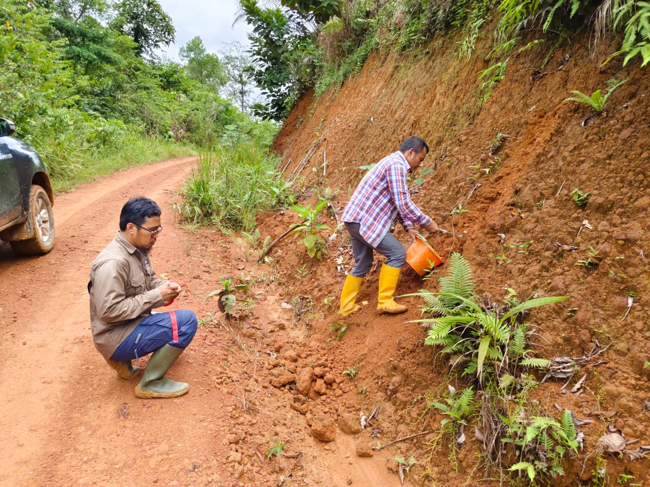 Field Activity